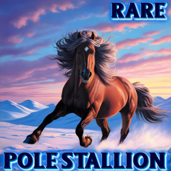 Rare Stall 101