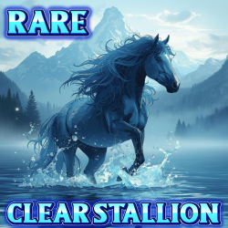 Rare Stall 205