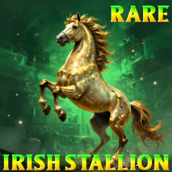 Rare Stall 213