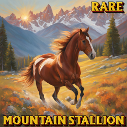 Rare Stall 23