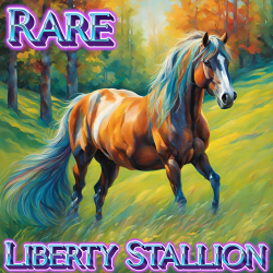 Rare Stall 24