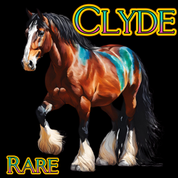 Rare Stall 29