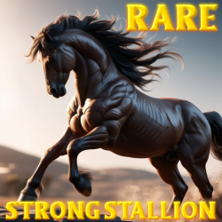 Rare Stall 41