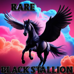 Rare Stall 58