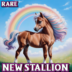 Rare Stall 60