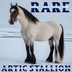 Rare Stall 66