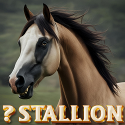 Rare Stall 74