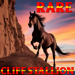 Rare Stall 79
