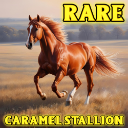 Rare Stall 91